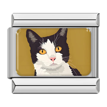 Cat v1 Italian Silver Charm