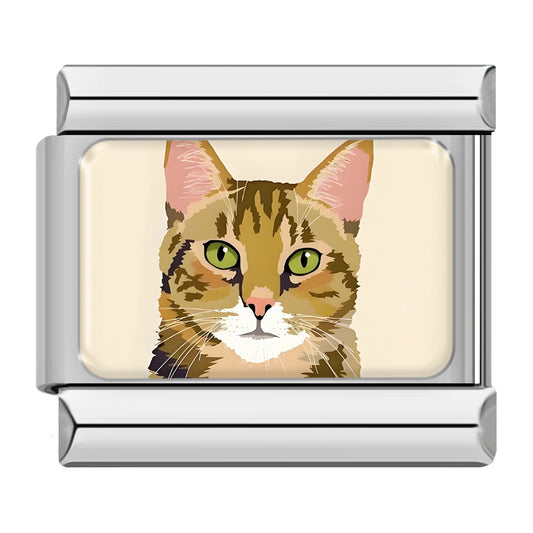 Cat v6 Italian Silver Charm