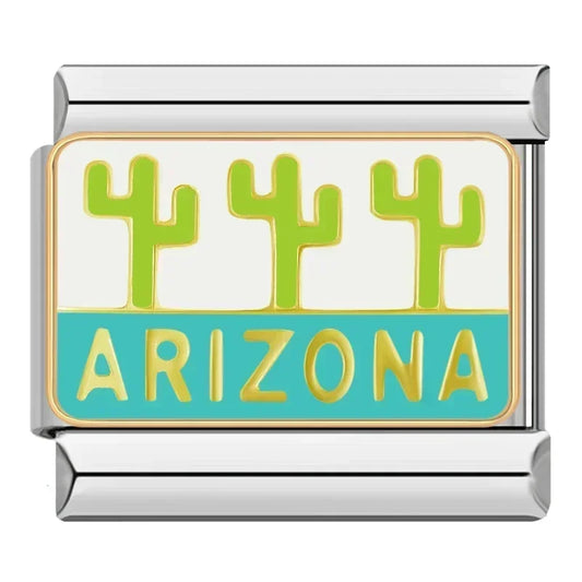 Arizona Italian Silver Charm