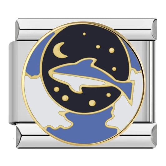 Night Dolphin Italian Silver Charm