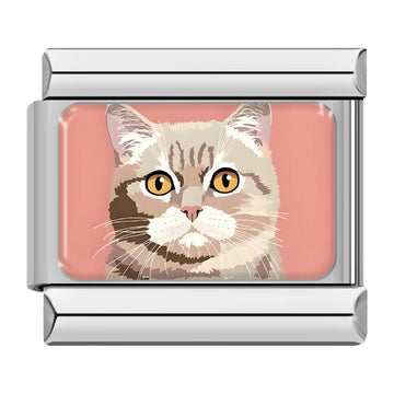 Cat v2 Italian Silver Charm
