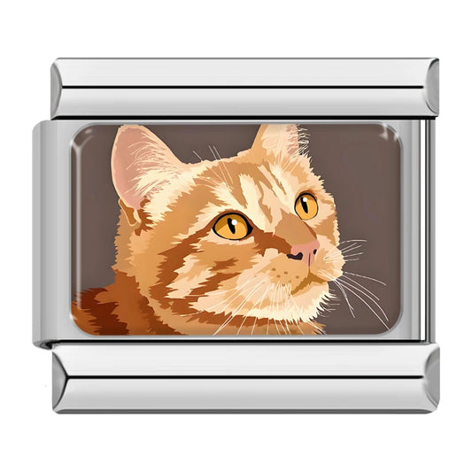 Cat v4 Italian Silver Charm