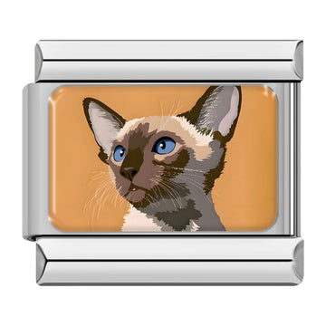 Cat v3 Italian Silver Charm