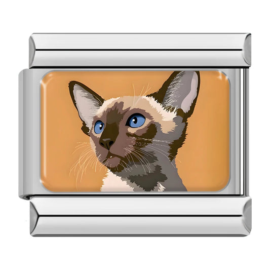 Cat v3 Italian Silver Charm